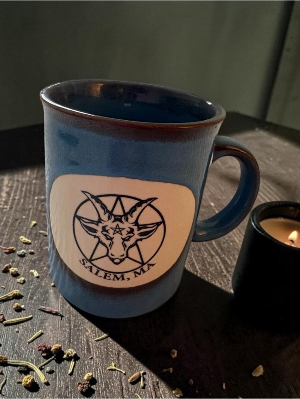 Salem mass witch city blue  Ceramic Salem Mug with Emblem NIB